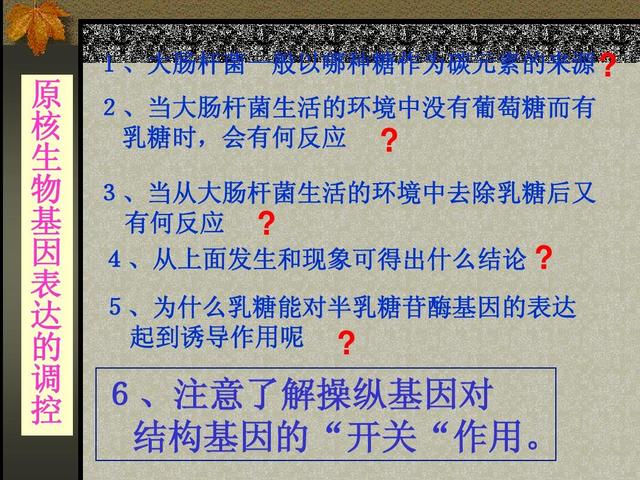 婴儿吃乳糖酶的好处