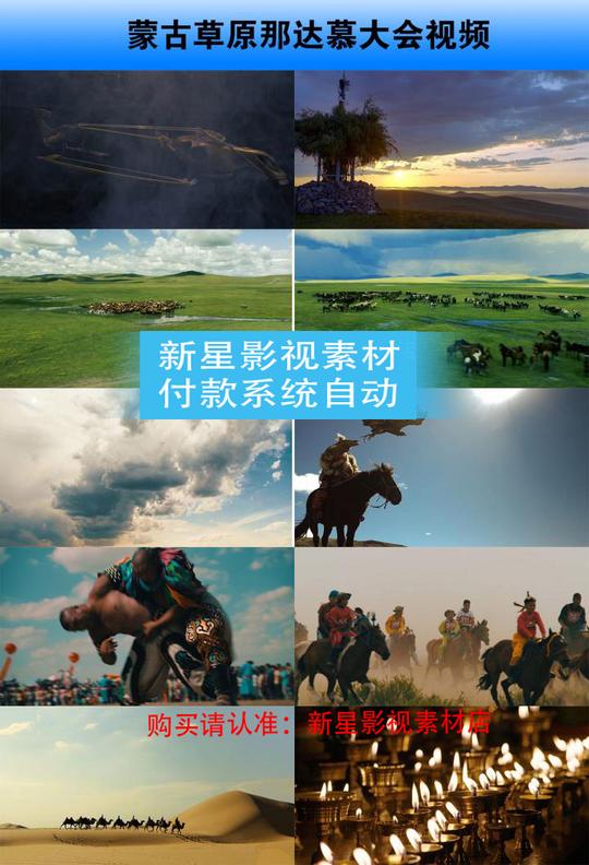 内蒙古大草原牧场那达慕大会摔跤比赛马术呼伦贝尔实拍视频素材