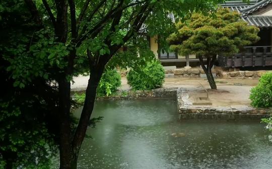 【实录池塘听风吹雨】15分钟自然环境下雨声白噪音深度睡眠