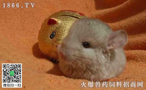 孕期如何避免营养过剩