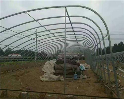 拉萨连栋温室骨架材料批发厂家先建设后付款