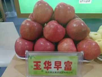 从陕西到福建的相关长尾关键词有哪些
