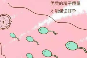 备孕不可少的四大微量元素