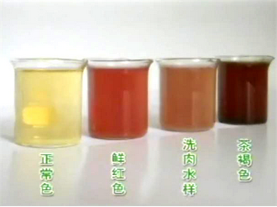 教宝宝识别颜色