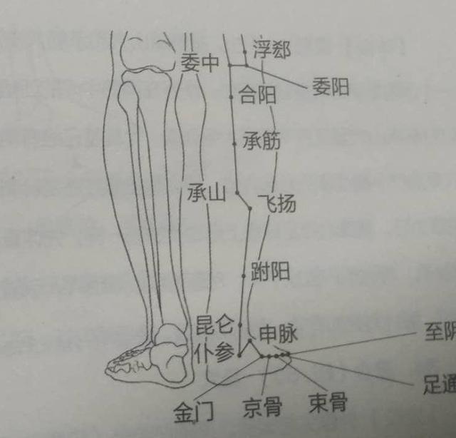 孕妇腿抽筋怎么预防