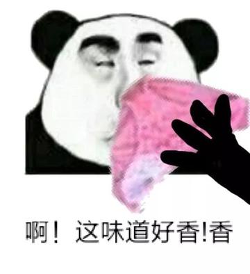  不忍直视污别想多表情包