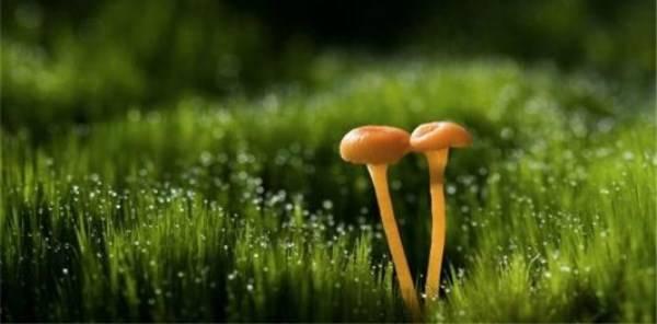 单依纯新歌雨后日记