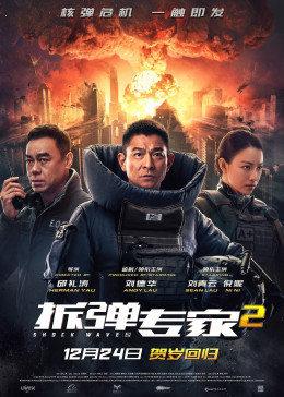 拆弹专家2好看吗