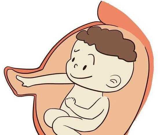 为什么躺下胎动就频繁 左侧卧
