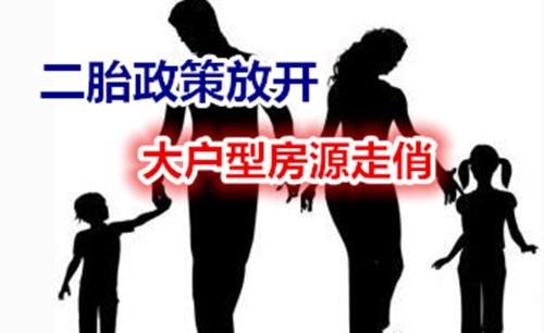 大庆市二胎最新政策