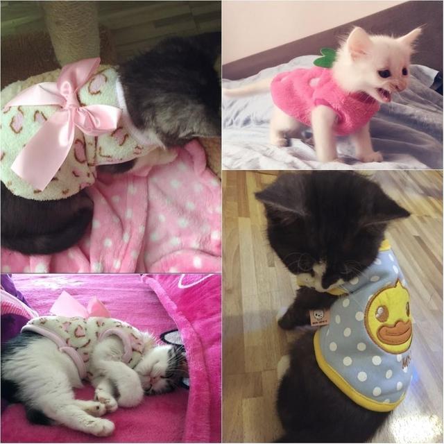 狗咬小孩子怎么办
