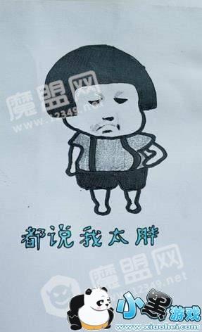 抖音肥胖版凉凉视频及bgm歌词分享(下载,攻略问答,)