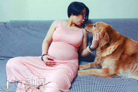 家有孕妇还能养宠物吗