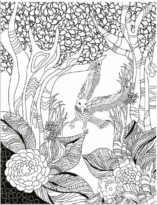 涂色画-绘涂素材