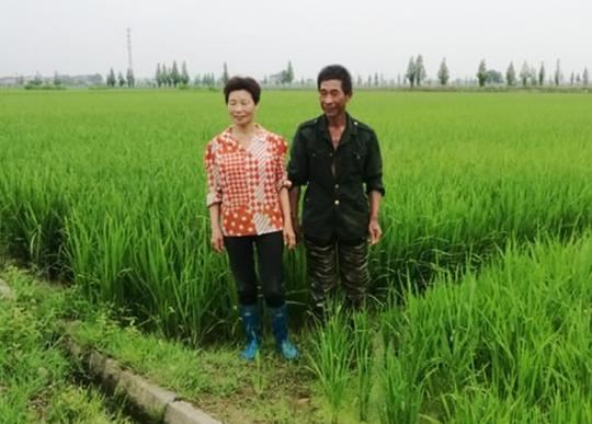 共同致富记江西省新余市渝水区罗坊镇创业致富带头夫妻廖方根,龚连英