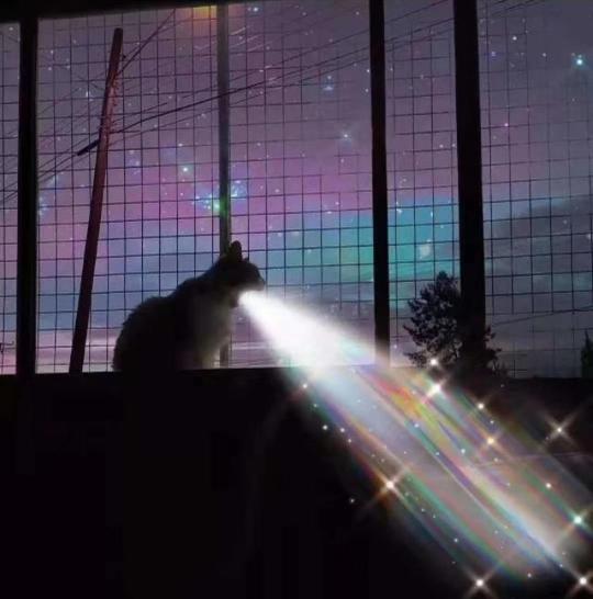 抖音最火朋友圈背景图
