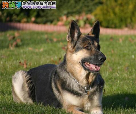 新生儿身体各部位标准图