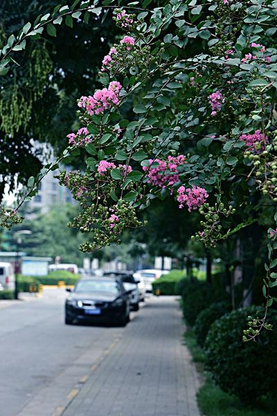 街道路边_图片大全—全景创意图库（quanjing.com）中国领先的正版图片视频素材网站