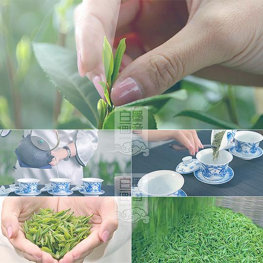 a60茶叶农业采茶泡茶制茶工艺茶文化宣传片高清实拍视频素材