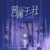 曾属于我(王平凡)