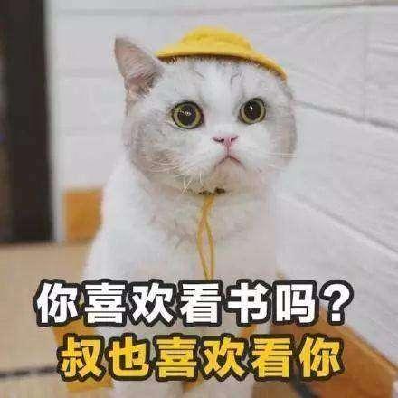 抖音你就是有个缺点表情包分享猫咪版土味情话