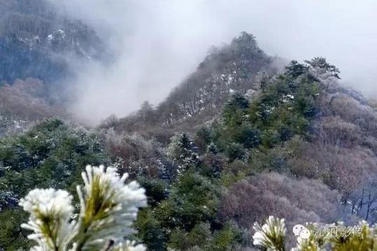 (此视频拍摄于正月初十)感谢微友:蓝天碧海提供素材因雪天路滑,道