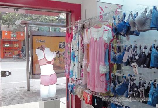 婵芝美体内衣连锁专卖店全国招商加盟_9