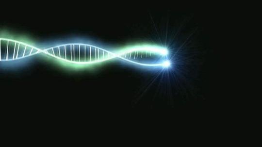 ae粒子特效炫光线条飞舞视频素材