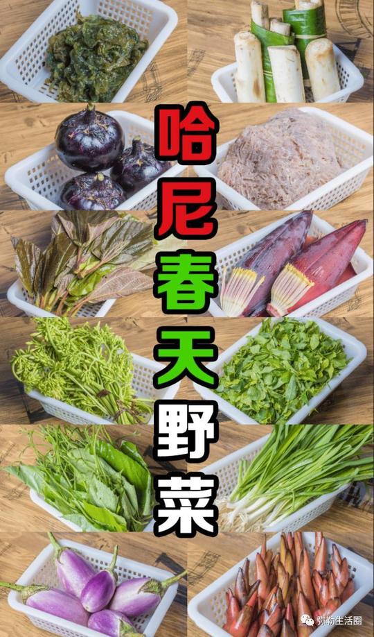 弥勒一天要卖上百斤野菜的饭店,生意好到累跑4个洗菜阿姨