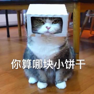 你要不要饼干可爱表情包