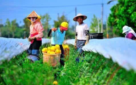 农民工兄弟注意:农村人挣钱越来越难了,这三条出路你得知道!