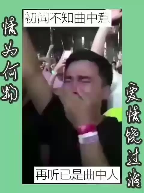 王者荣耀[九天狐]的主页-快手直播