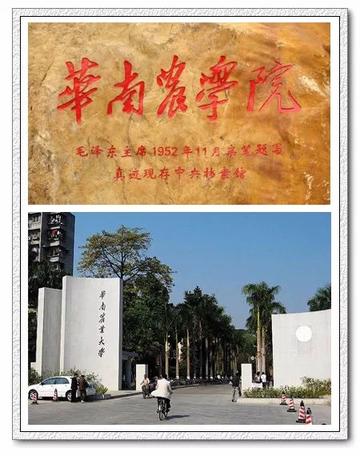 广州市有什么农业学院