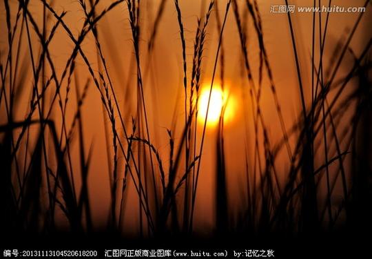 rgb普通授权￥40关键词:自然景观日出晚霞水草jpg芦苇