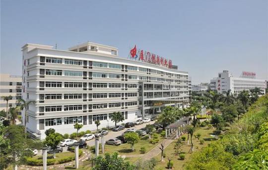 双创建设丨厦门创新创业园构建人才发展生态