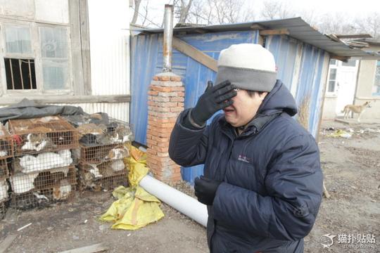 大连千只被偷猫险被送进绞肉机(立多多新闻)