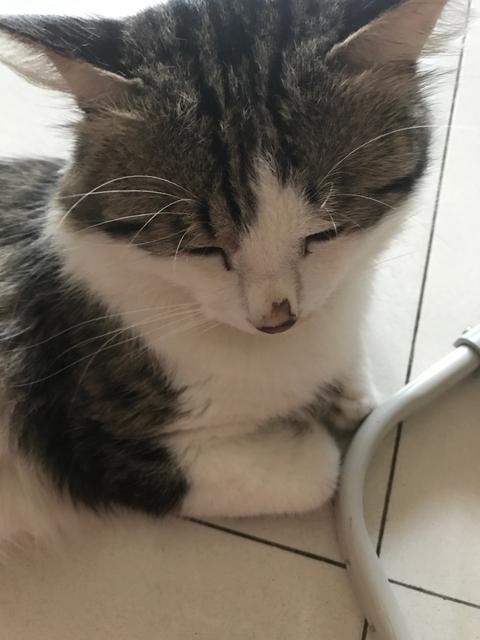 夏季天气越来越热