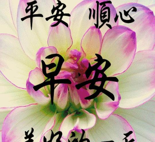 早安!愿你幸福久久长长,万事顺心!祝你吉星高照,心想事成!