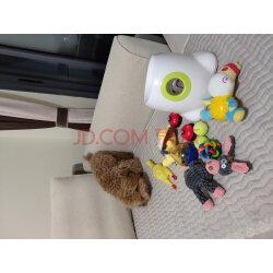 佩迪熊宠物狗狗玩具鸡发声惨叫鸡训练互动玩具泰迪小型犬幼犬法斗柯基训狗用品抖音同款中号实拍图