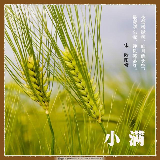 2020小雪节气海报文案