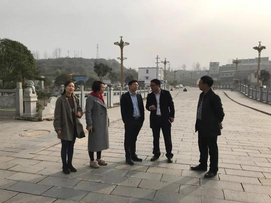 政务正文傅智建董事长一行先后考察了旧州古镇,舞阳湖,黄平槐花