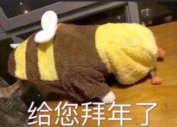 2026马年拜年过年恭喜表情包