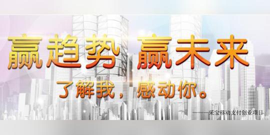 移动支付创业项目采宝支付整合各种营销方式