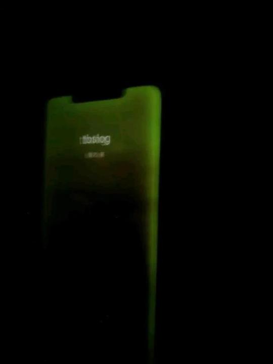 苹果承认iphone12绿屏，是软件问题!网友:绿色对眼睛好