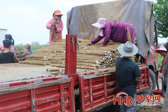 【乡村振兴看淮阳】淮阳区临蔡镇:“云”科技助力乡村治理“农”墨重彩谱新篇