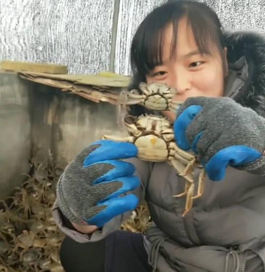 80后姑娘回农村创业,反季节养它利润翻了十几倍,年