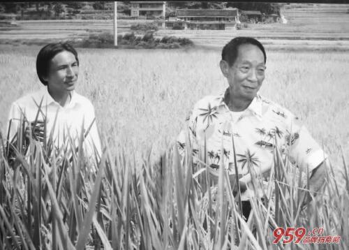 袁隆平宣布重大成果|农村创业好项目有哪些?