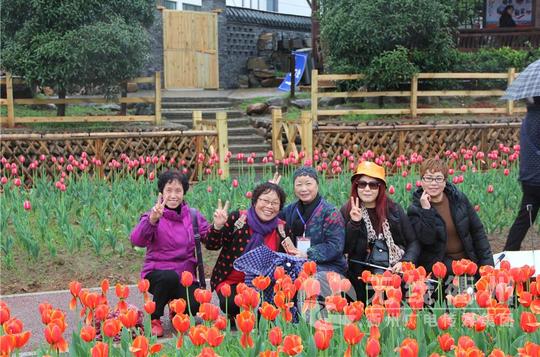 图文直播||2018衢州市第四届"金花旅游节"开幕式