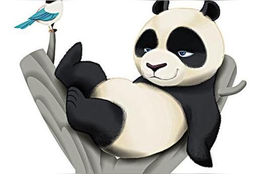 三年级作文，熊猫怎么写？