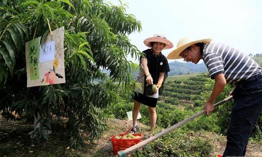 适合农村的生意,最新小投资热门的创业项目